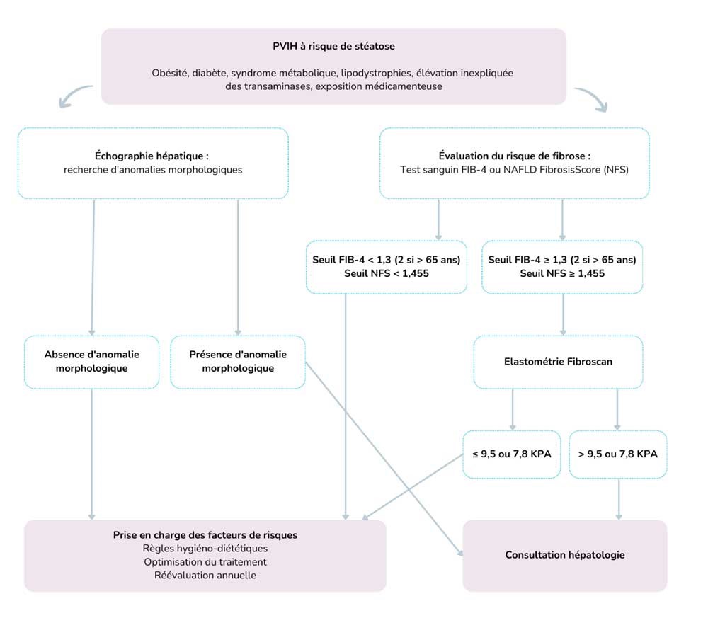 Procédure diagnostique en cas de suspicion de stéatose